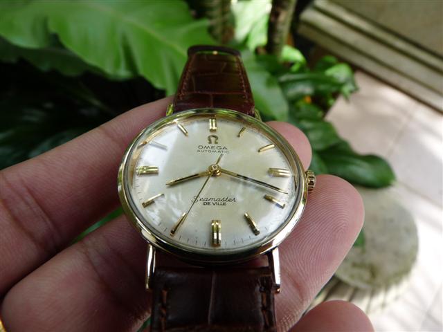 Name:  P1200273 (Small).JPG
Views: 2997
Size:  42.5 KB