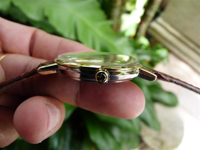 Name:  P1200274 (Small).JPG
Views: 2993
Size:  38.0 KB