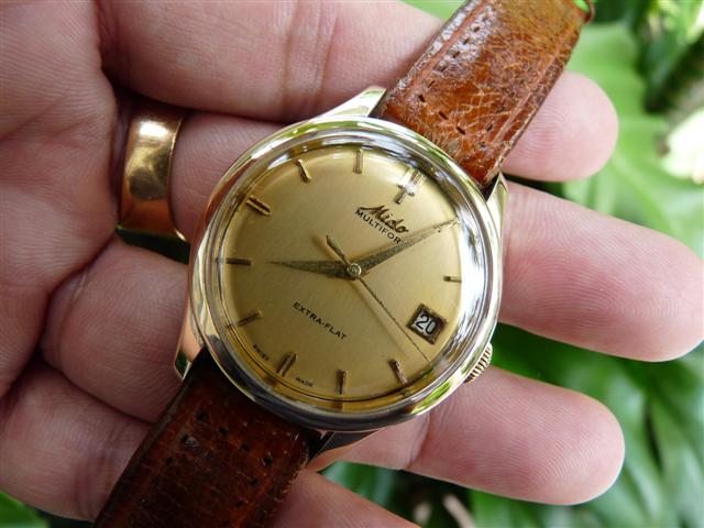 Name:  P1200284 (Small).JPG
Views: 3418
Size:  51.9 KB