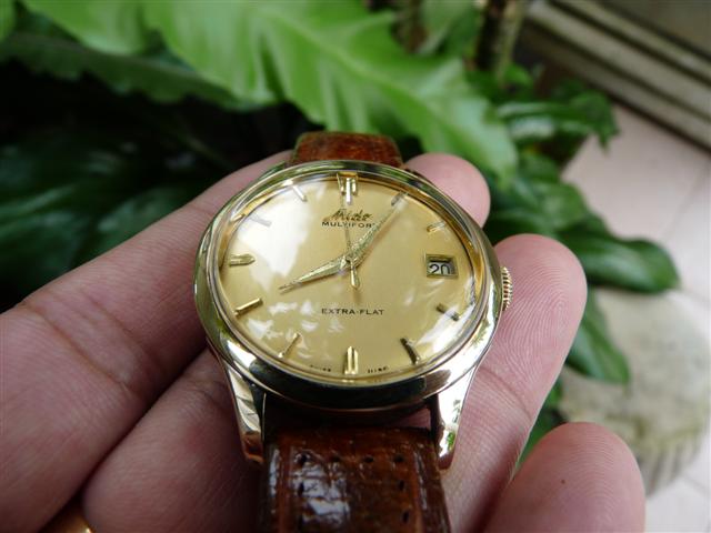 Name:  P1200291 (Small).JPG
Views: 2963
Size:  43.2 KB