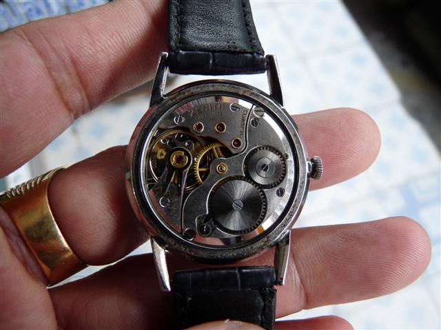 Name:  P1200337 (Small).JPG
Views: 1464
Size:  53.5 KB