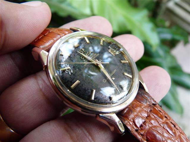 Name:  P1200350 (Small).JPG
Views: 1455
Size:  54.9 KB