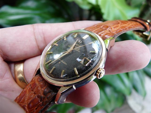 Name:  P1200353 (Small).JPG
Views: 1487
Size:  51.6 KB