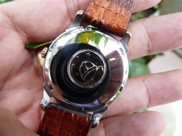 Name:  P1200361 (Small).JPG
Views: 1464
Size:  54.3 KB