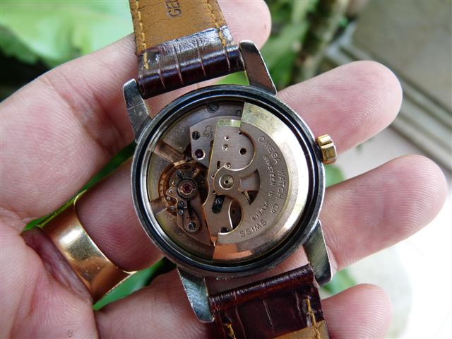 Name:  P1200392 (Small).JPG
Views: 1453
Size:  55.8 KB