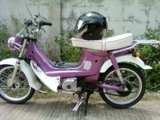 Name:  SP_A0244.jpg
Views: 65
Size:  55.8 KB