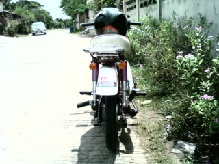 Name:  SP_A0247.jpg
Views: 64
Size:  53.4 KB