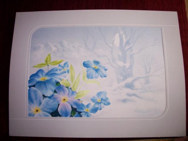 Name:  No.445-3.jpg
Views: 439
Size:  26.2 KB