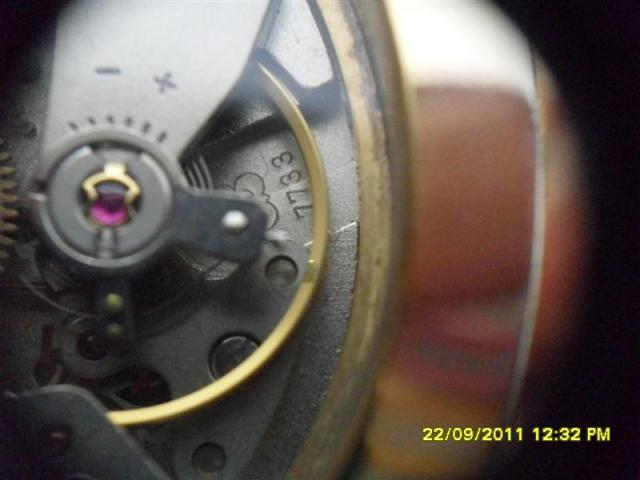 Name:  SDC14602 (Medium).jpg
Views: 1211
Size:  30.1 KB