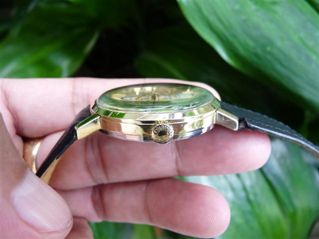 Name:  P1200543 (Small).JPG
Views: 1866
Size:  38.2 KB