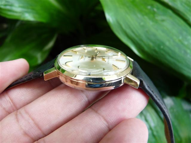 Name:  P1200545 (Small).JPG
Views: 1858
Size:  40.4 KB