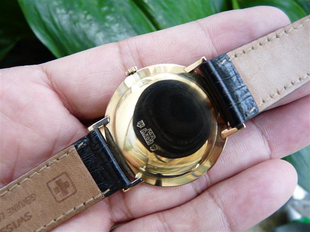 Name:  P1200633 (Small).JPG
Views: 1871
Size:  51.6 KB