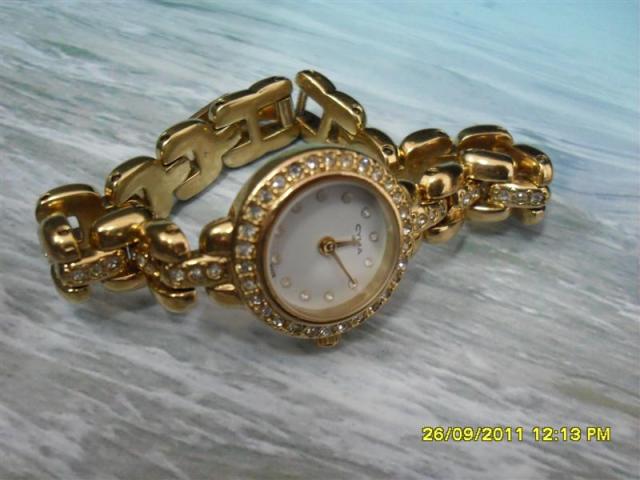 Name:  SDC14660 (Medium).jpg
Views: 925
Size:  40.0 KB