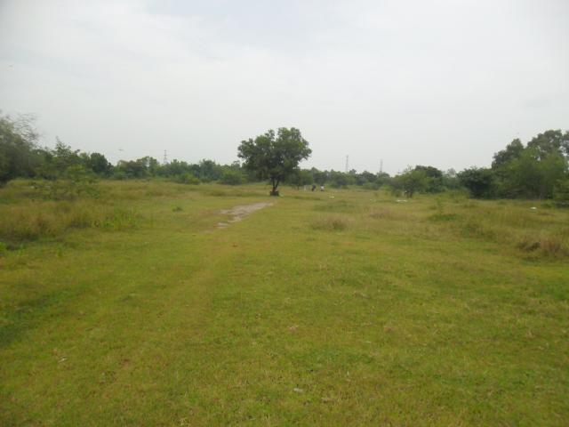 Name:  SAM_2138.jpg
Views: 831
Size:  30.2 KB