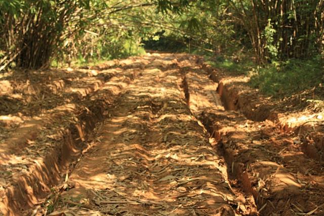 Name:  IMG_4117.jpg
Views: 1267
Size:  70.3 KB