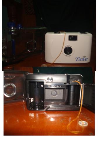Name:  dove.jpg
Views: 338
Size:  19.3 KB