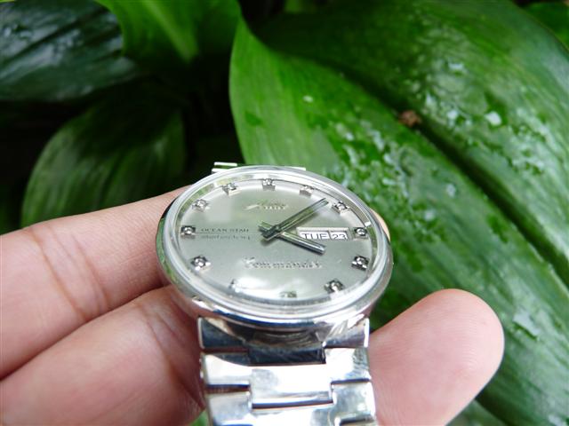 Name:  P1200804 (Small).JPG
Views: 1238
Size:  44.8 KB