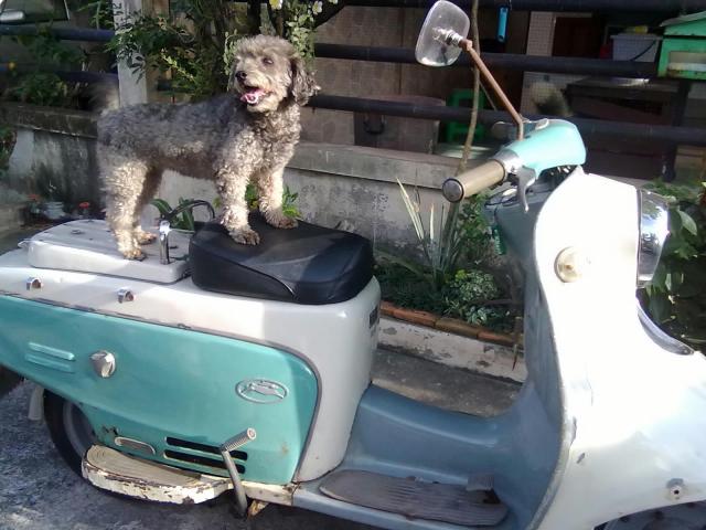 Name:  17092011532.jpg
Views: 647
Size:  49.5 KB