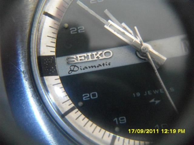 Name:  SDC14528 (Medium).jpg
Views: 863
Size:  34.2 KB