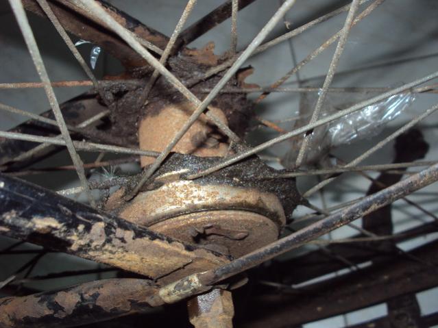 Name:  DSC00184.jpg
Views: 1217
Size:  48.0 KB
