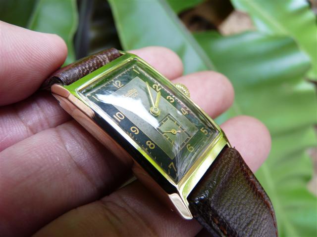 Name:  P1200964 (Small).JPG
Views: 1169
Size:  46.1 KB