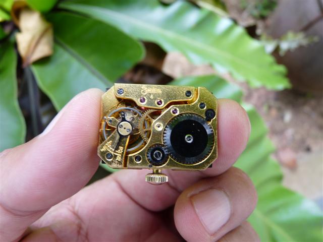 Name:  P1200977 (Small).JPG
Views: 1154
Size:  43.9 KB