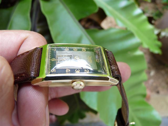 Name:  P1200970 (Small).JPG
Views: 1156
Size:  42.5 KB