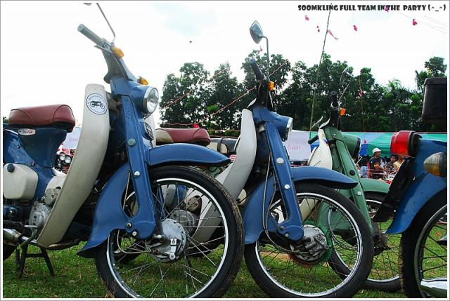 Name:  DSC_0064.jpg
Views: 2391
Size:  65.0 KB