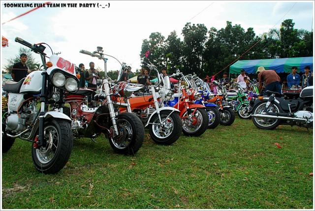Name:  DSC_0074.jpg
Views: 2236
Size:  77.1 KB