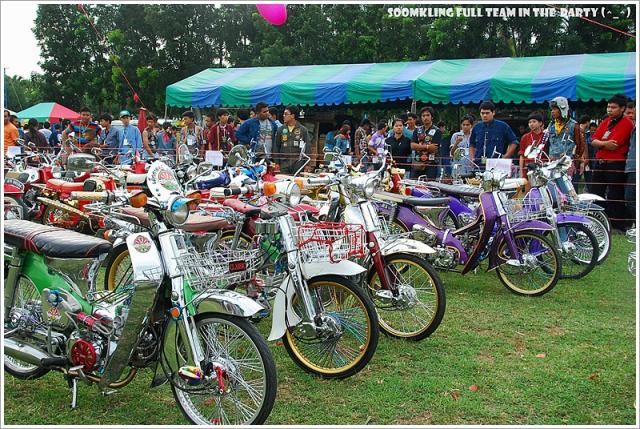 Name:  DSC_0078.jpg
Views: 2279
Size:  96.7 KB