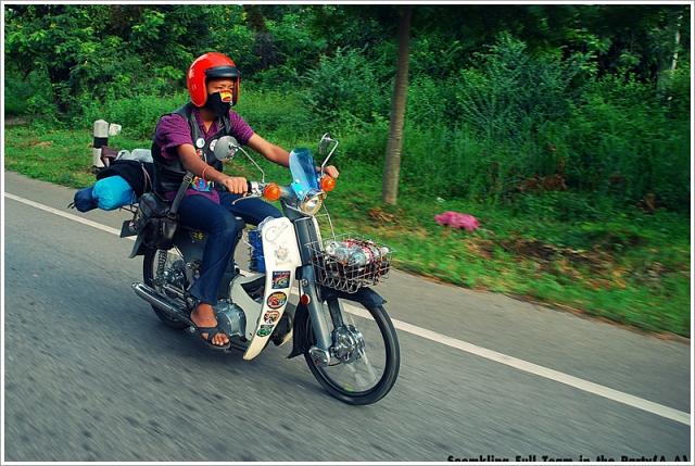 Name:  DSC_0286.jpg
Views: 932
Size:  64.8 KB