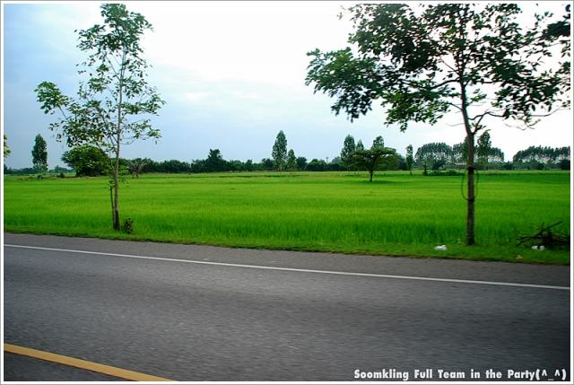 Name:  DSC_0299.jpg
Views: 834
Size:  55.6 KB