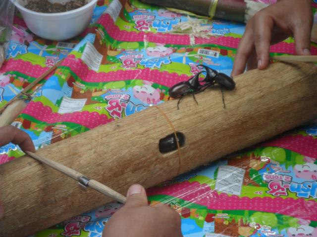 Name:  SAM_3050.jpg
Views: 558
Size:  52.5 KB