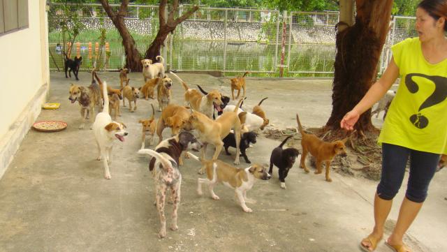 Name:  DSC01745.jpg
Views: 503
Size:  44.6 KB