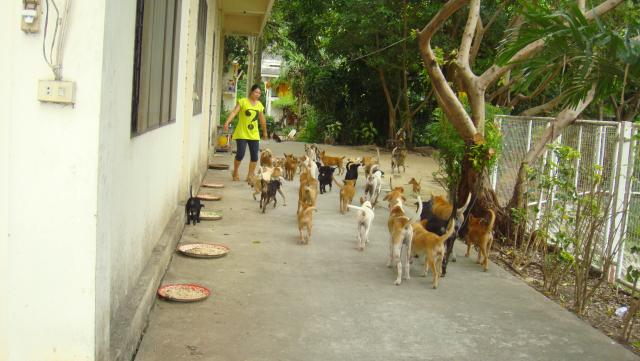 Name:  DSC01747.jpg
Views: 507
Size:  42.9 KB