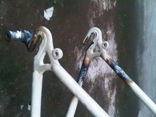 Name:  IMG00229-20111004-1308.jpg
Views: 2218
Size:  69.8 KB