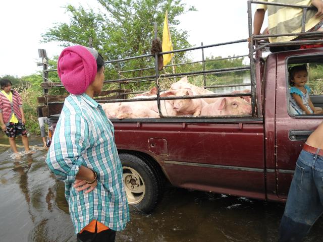 Name:  DSC01396.jpg
Views: 897
Size:  65.6 KB