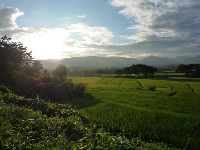 Name:  P1040159.jpg
Views: 919
Size:  44.0 KB