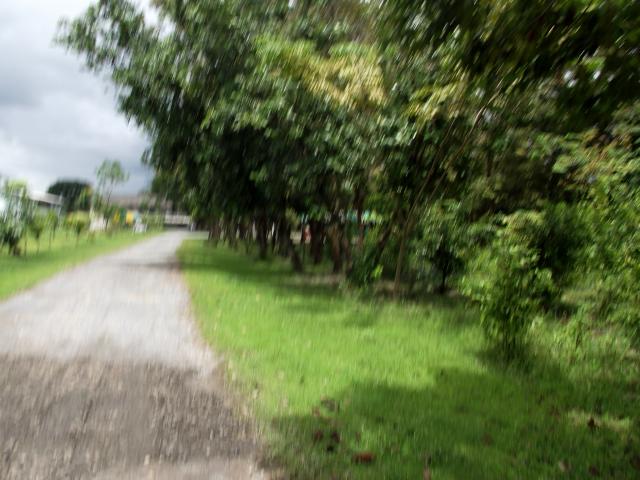Name:  DSCF0047.jpg
Views: 60
Size:  51.3 KB