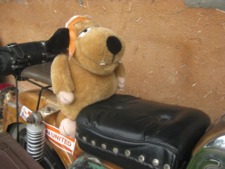 Name:  IMG_0053.JPG
Views: 1501
Size:  92.6 KB