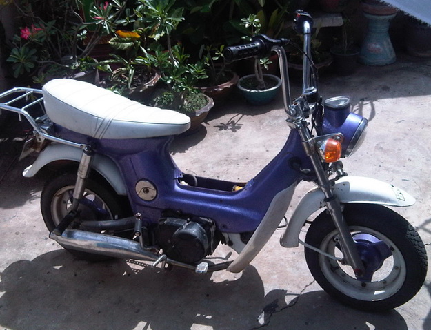 Name:  IMG02250-20110717-1424..jpg
Views: 1129
Size:  122.7 KB