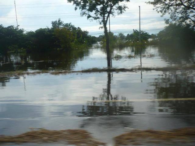 Name:  315839_232933436763397_100001402274867_662060_1886387442_n (1).jpg
Views: 216
Size:  42.5 KB