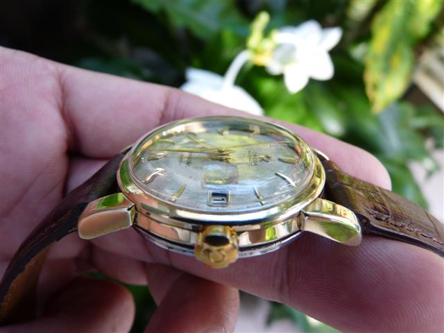 Name:  P1210700 (Small).JPG
Views: 1394
Size:  44.9 KB