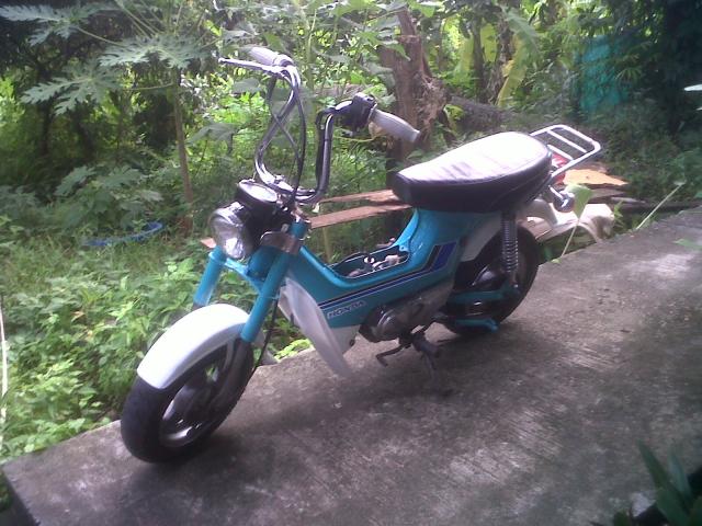 Name:  IMG00512-20110929-1633.jpg
Views: 47
Size:  61.1 KB