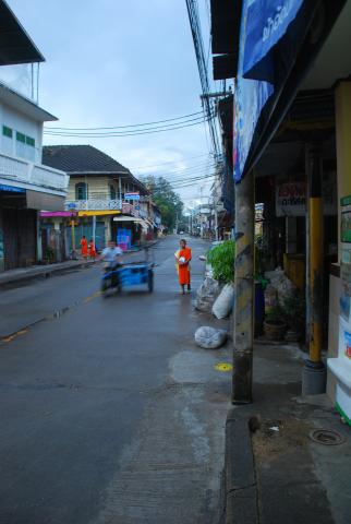 Name:  DSC_4728.jpg
Views: 1496
Size:  23.2 KB