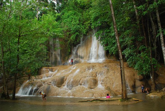 Name:  DSC_4958.jpg
Views: 720
Size:  66.3 KB