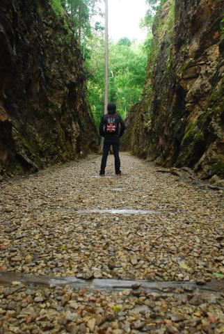 Name:  DSC_4998.jpg
Views: 721
Size:  43.5 KB