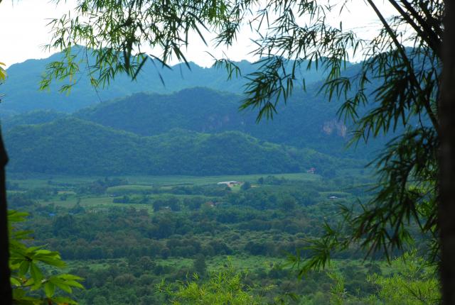 Name:  DSC_4991.jpg
Views: 706
Size:  54.4 KB