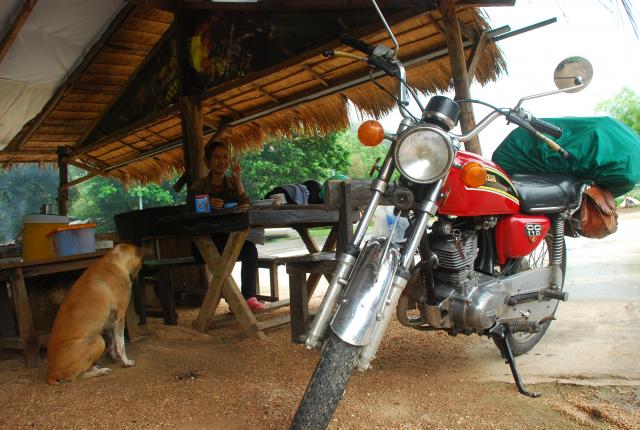 Name:  DSC_5331.jpg
Views: 664
Size:  57.8 KB