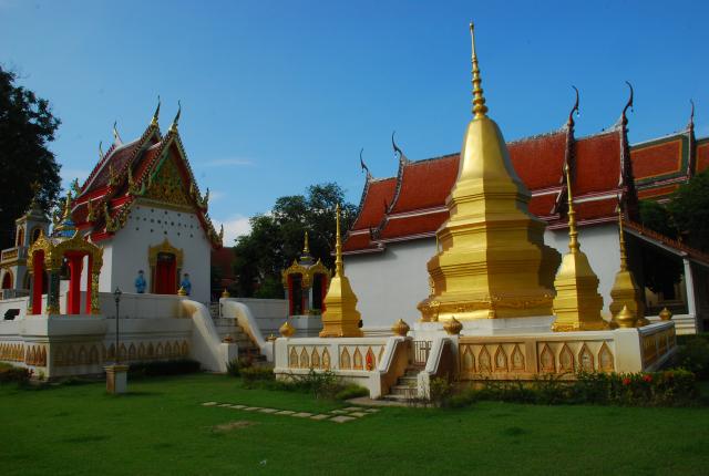 Name:  DSC_5542.jpg
Views: 632
Size:  39.1 KB